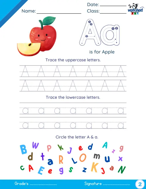 Trace the uppercase & Lowercase letters