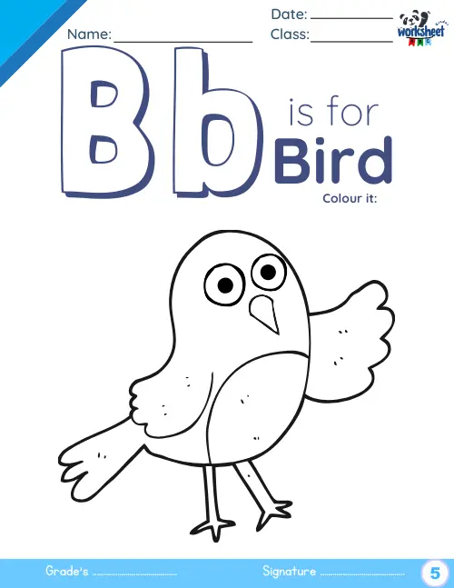 B is for bird colour it.