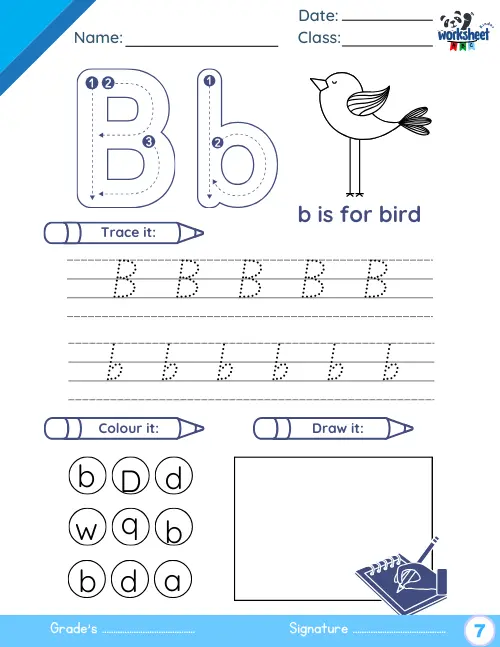 B is for bird.