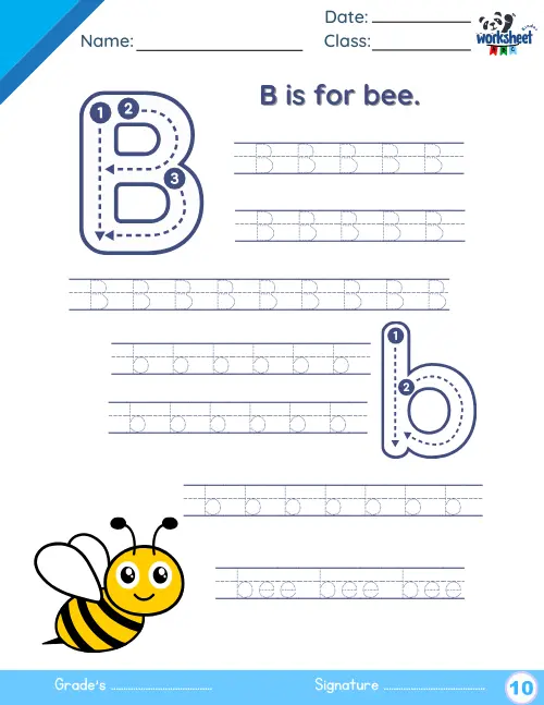 Practicing tracing the letters B and b.