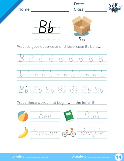 Practise your uppercase and lowercase Bs below.