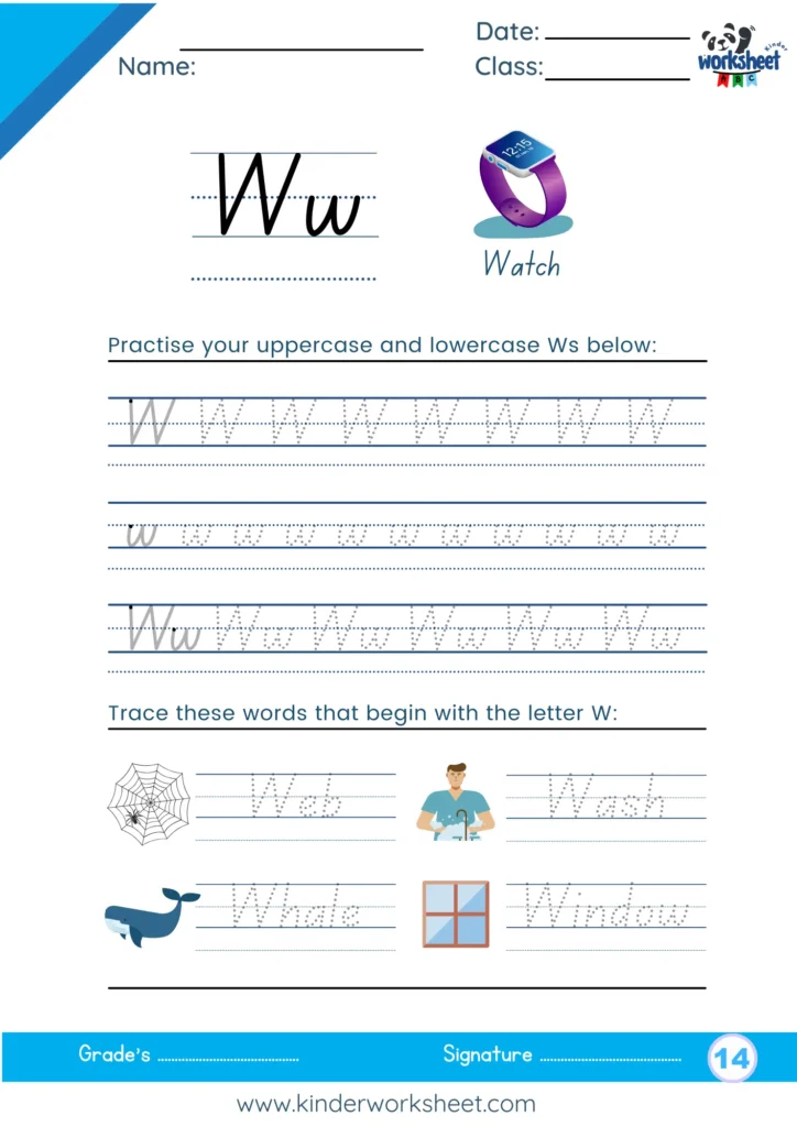 Practise your uppercase and lowercase Ws below: