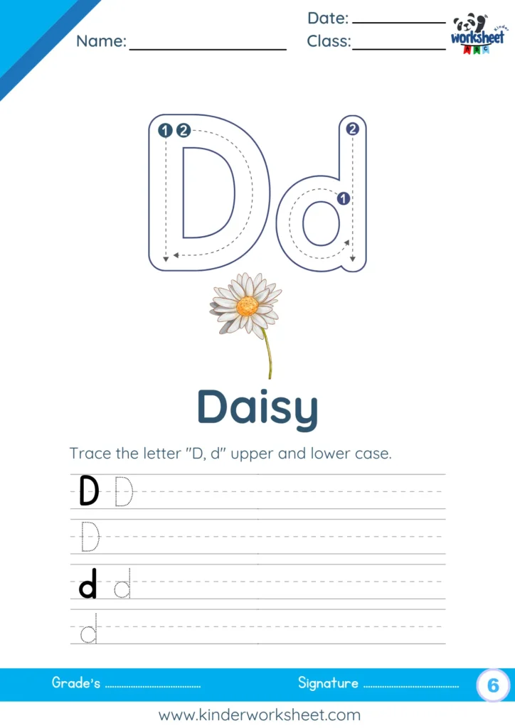 Trace the letter "D, d" upper and lower case.
