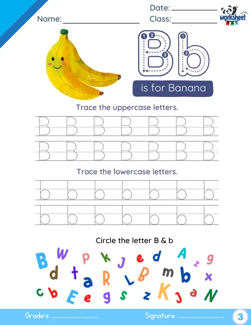 Trace the uppercase & lowercase letters.