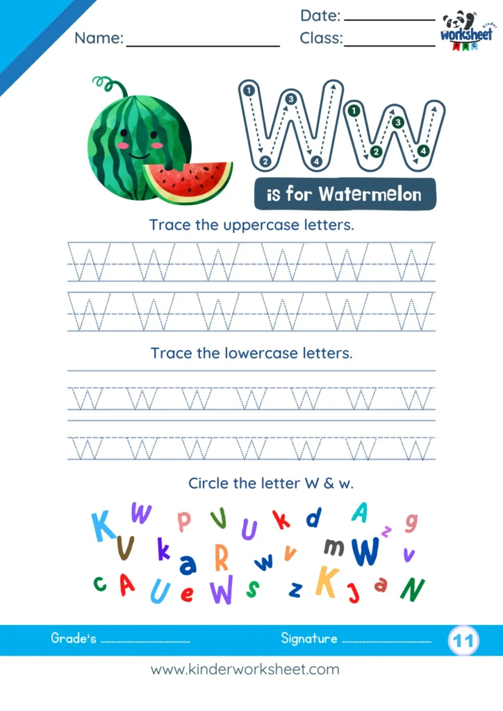 Trace the uppercase & lowercase  letters.