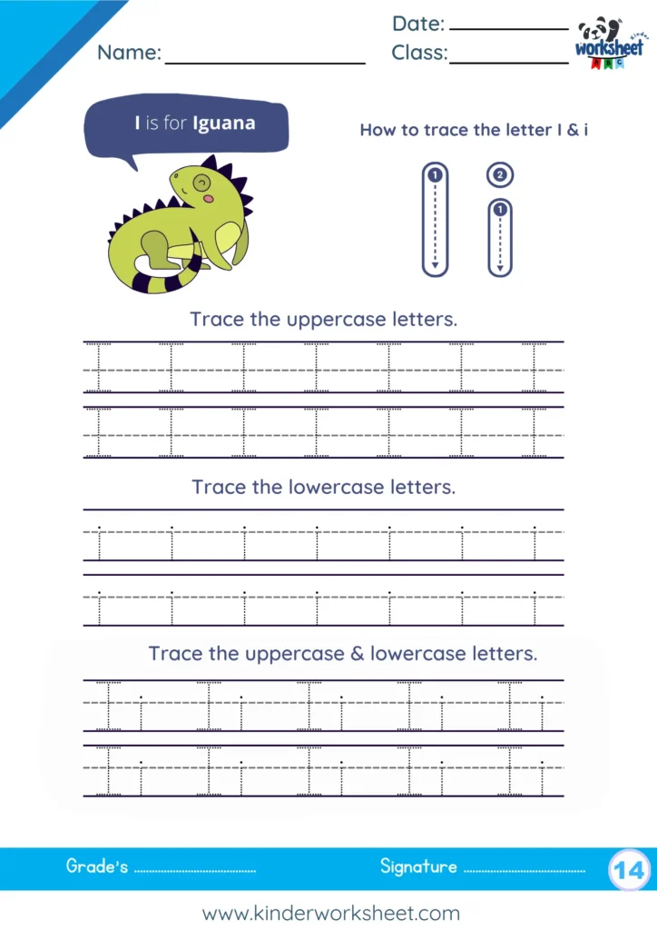 Trace the uppercase & lowercase letters.