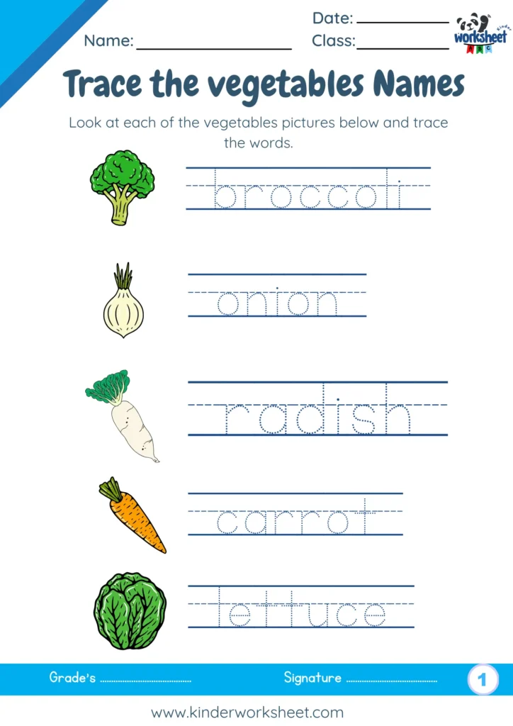 Trace the vegetables Names