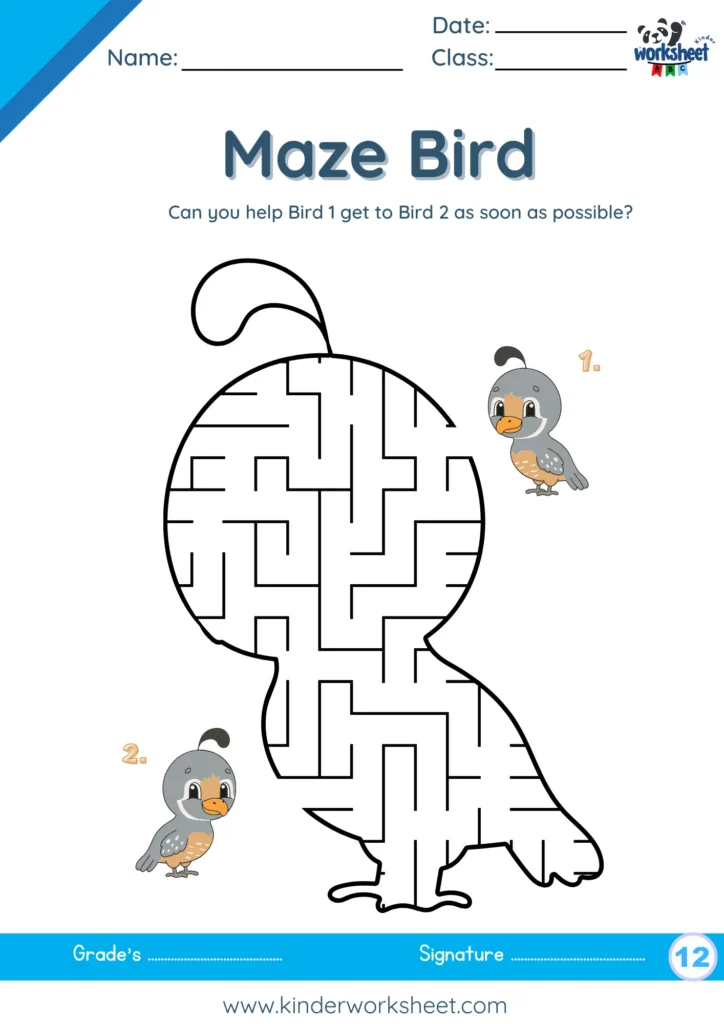 Maze Bird