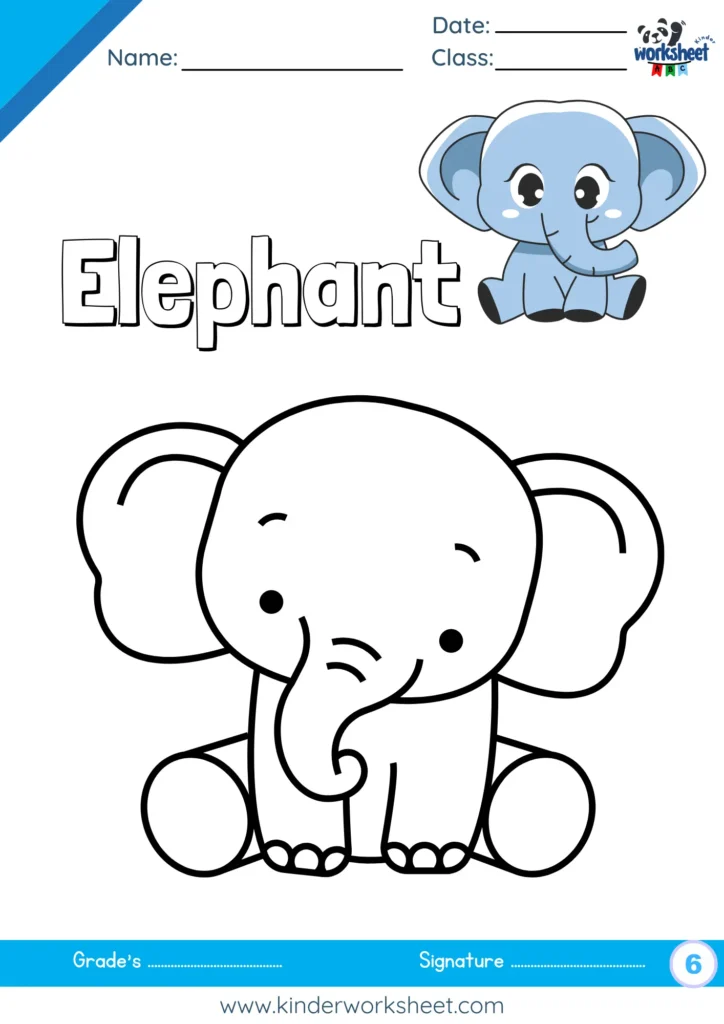 Elephant