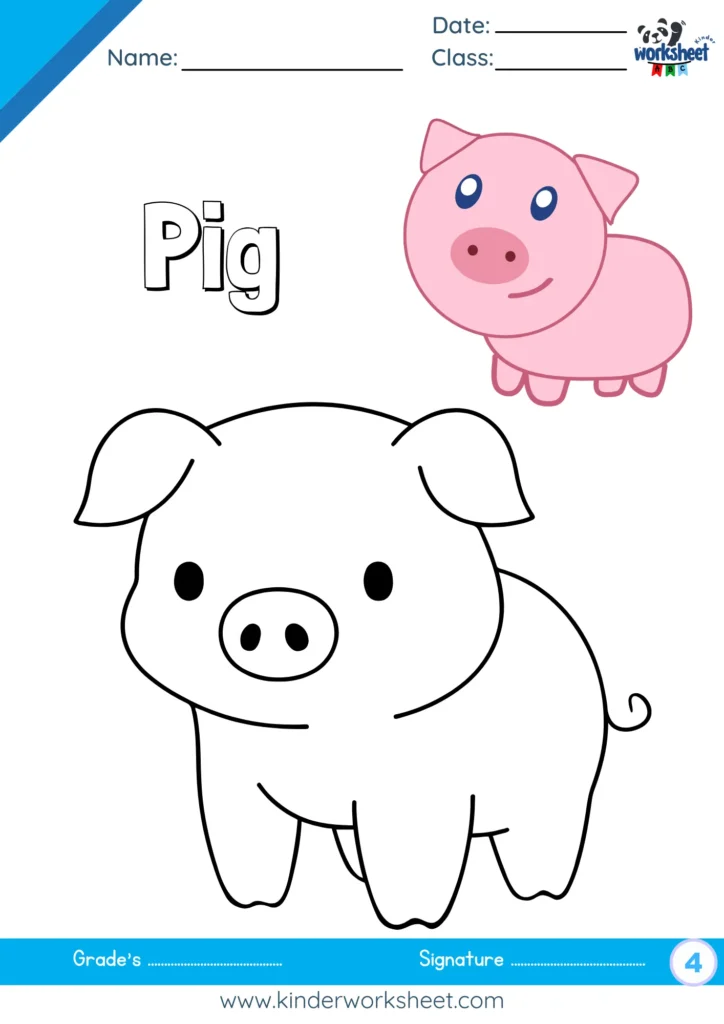 Pig