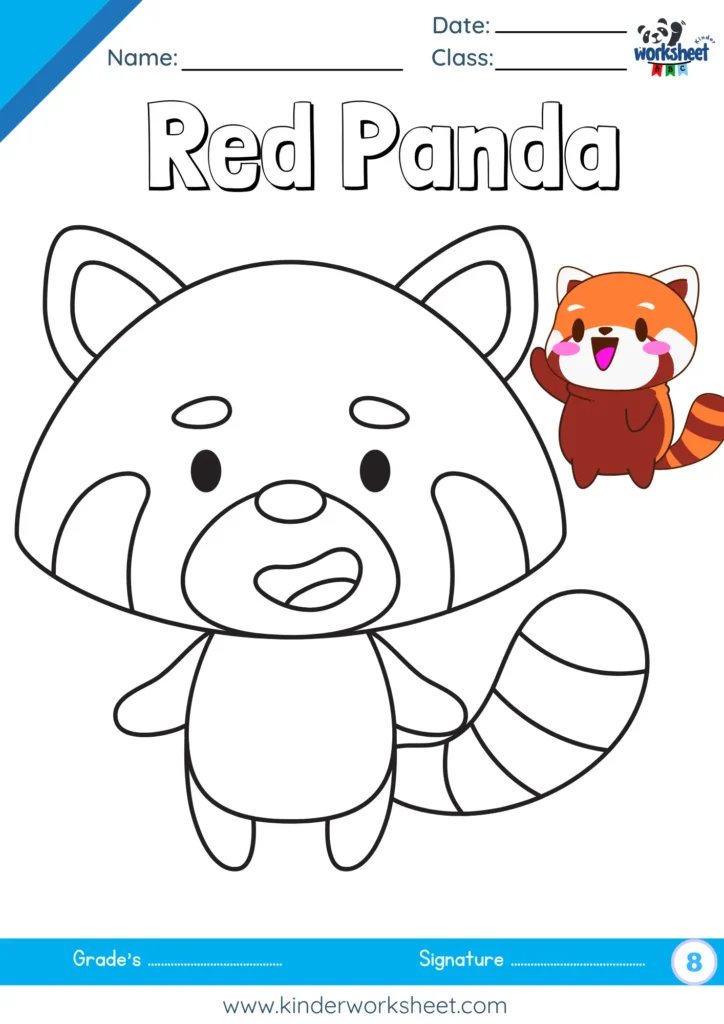 Red Panda