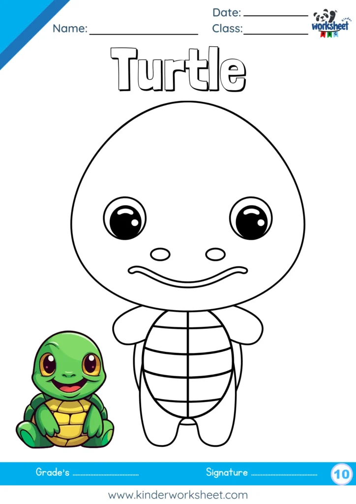 Turtle