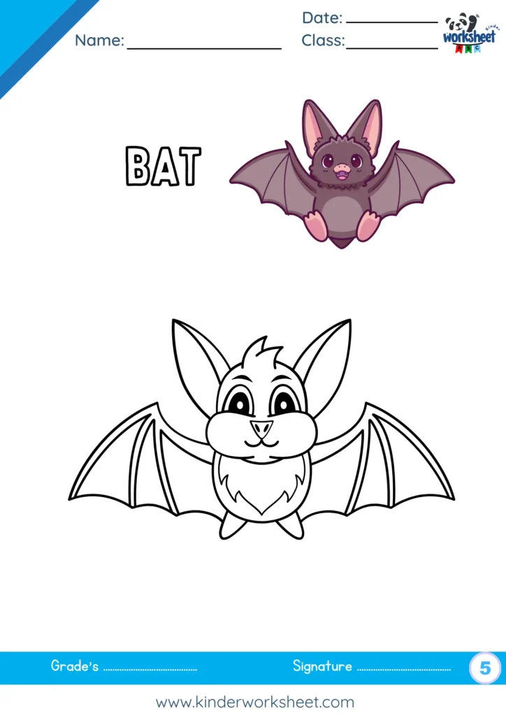 Bat