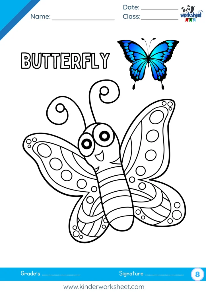 Butterfly