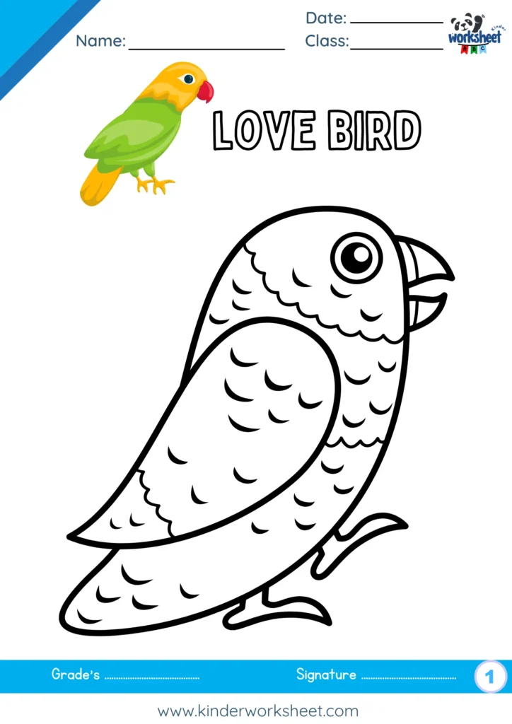 love bird