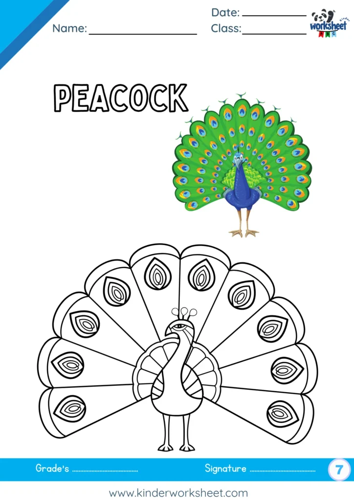 Peacock